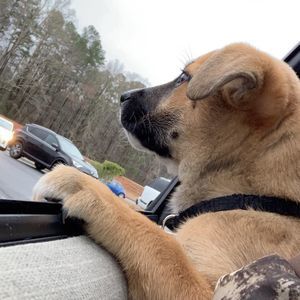 Meet your Posher, Johnathan